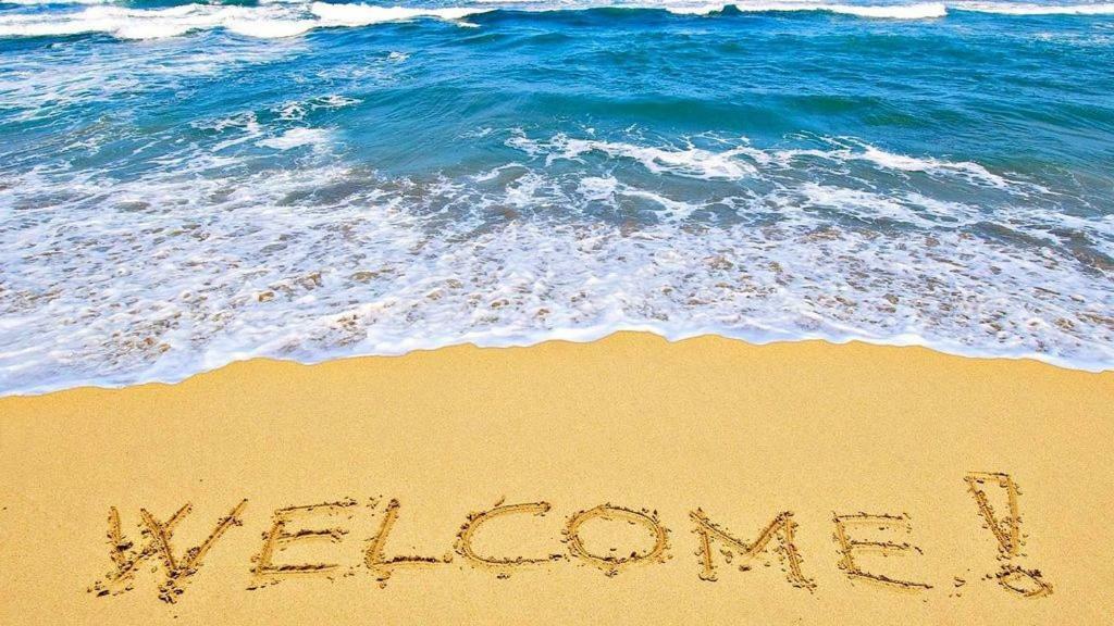 Vacation In Comfort And Luxury - 1 Bedroom Direct Oceanfront Wyndham Ocean Walk 1505 Daytona Beach Ngoại thất bức ảnh